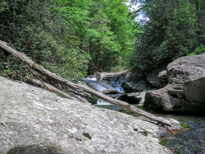 Picture 17 of Steels Creek Falls Hike 052216