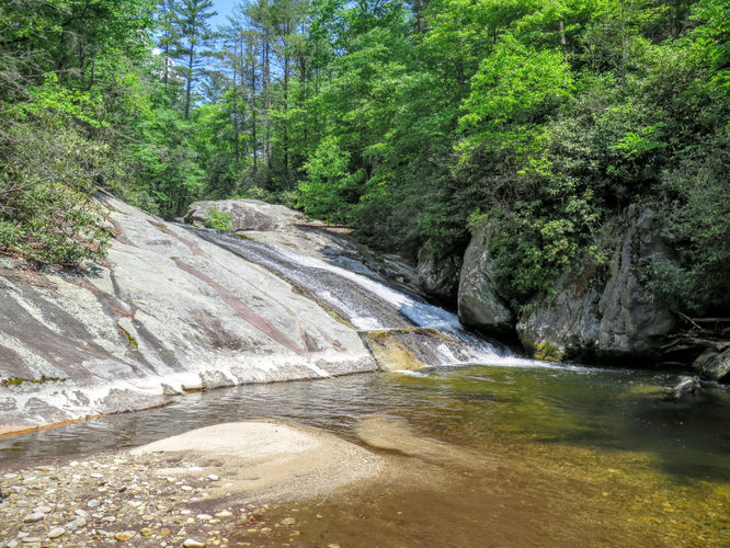 Picture 18 of Steels Creek Falls Hike 052216