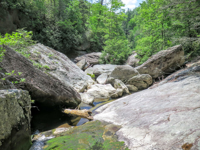 Picture 20 of Steels Creek Falls Hike 052216