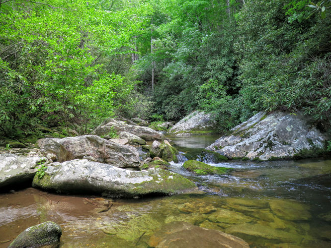 Picture 23 of Steels Creek Falls Hike 052216