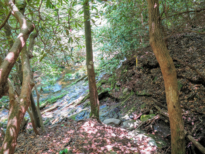 Picture 31 of Steels Creek Falls Hike 052216