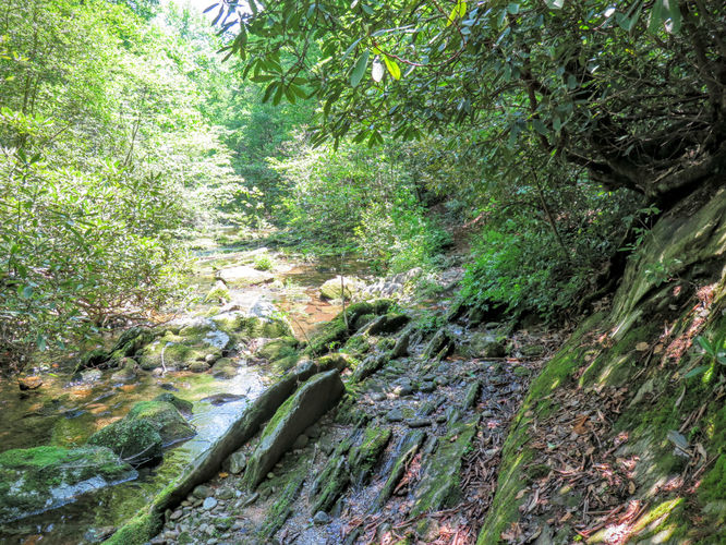 Picture 32 of Steels Creek Falls Hike 052216