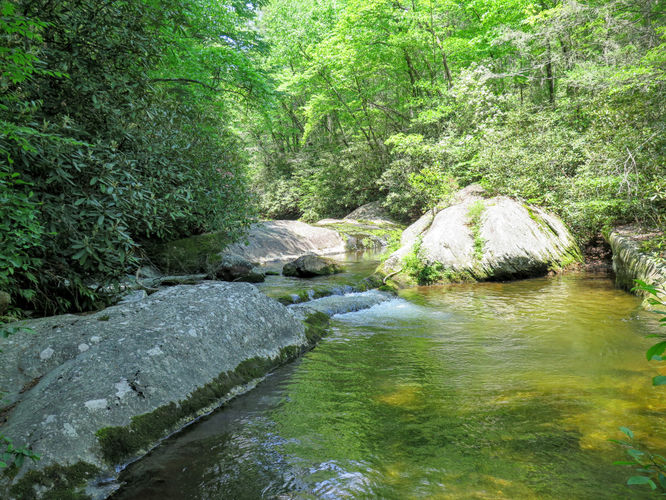 Picture 33 of Steels Creek Falls Hike 052216
