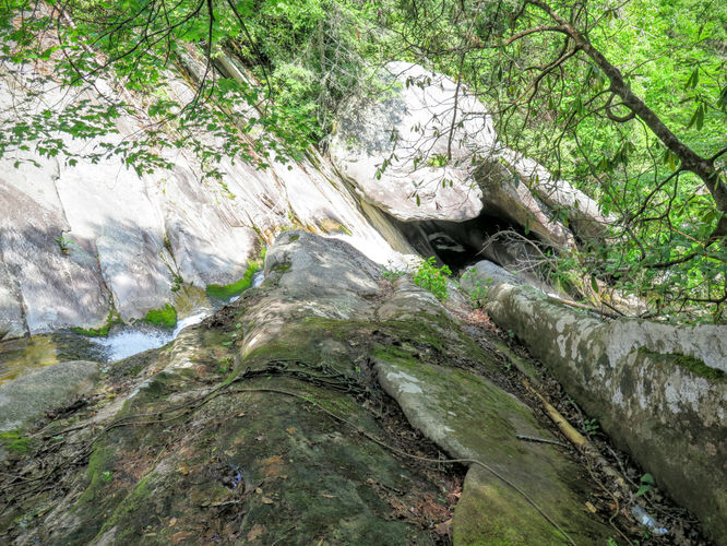 Picture 36 of Steels Creek Falls Hike 052216