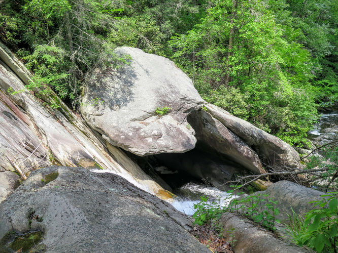 Picture 37 of Steels Creek Falls Hike 052216