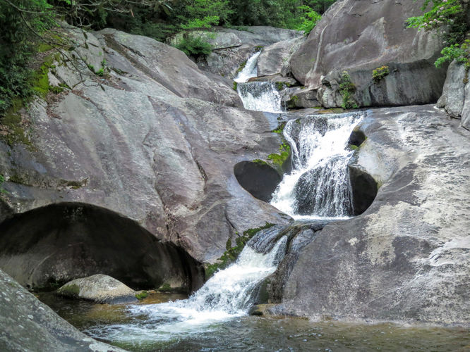 Picture 39 of Steels Creek Falls Hike 052216