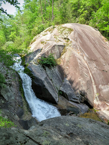 Picture 40 of Steels Creek Falls Hike 052216