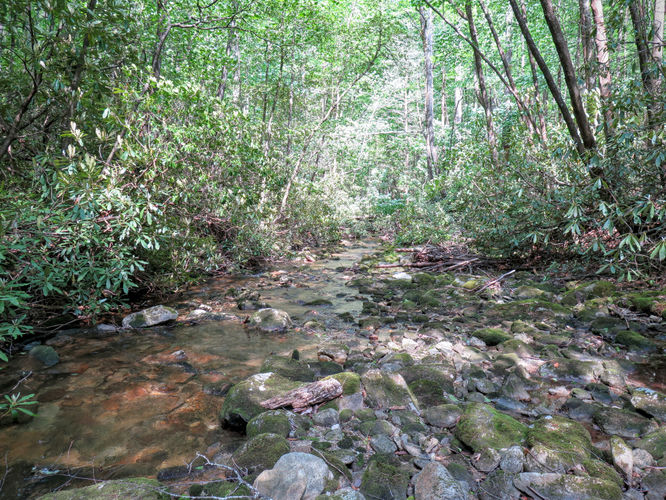 Picture 43 of Steels Creek Falls Hike 052216