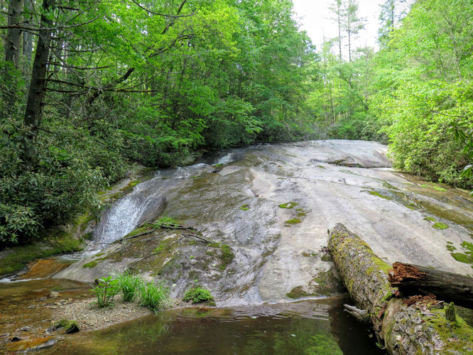 Picture 44 of Steels Creek Falls Hike 052216
