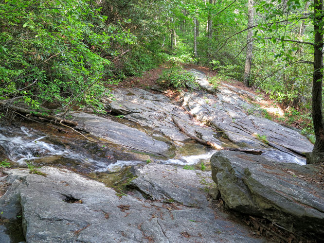 Picture 47 of Steels Creek Falls Hike 052216
