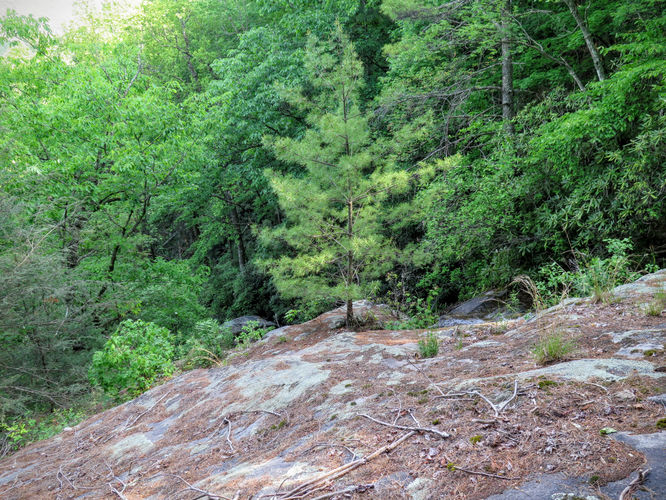 Picture 48 of Steels Creek Falls Hike 052216