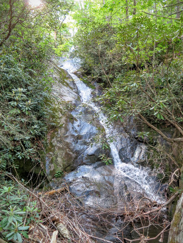 Picture 51 of Steels Creek Falls Hike 052216