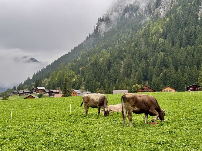 Picture 13 of Steg Lakes Trail