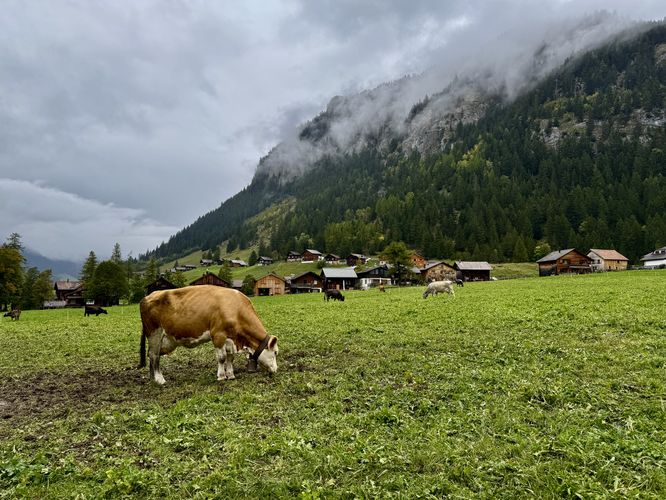 Picture 19 of Steg Lakes Trail