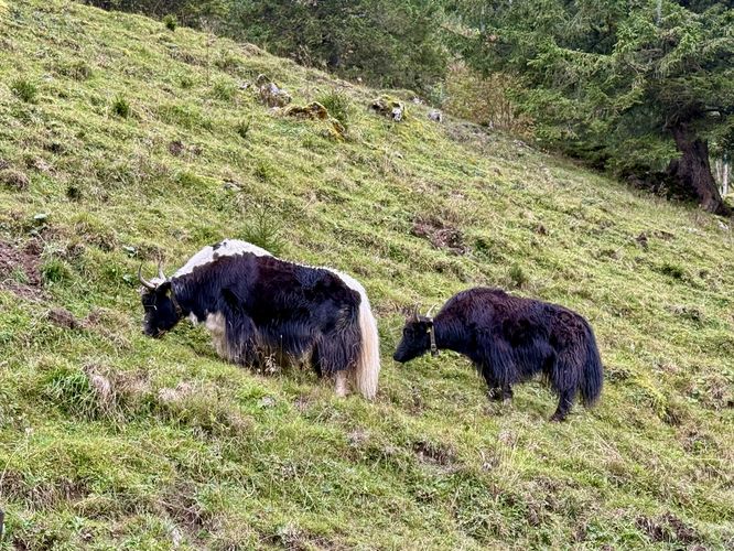 Picture 24 of Steg Lakes Trail