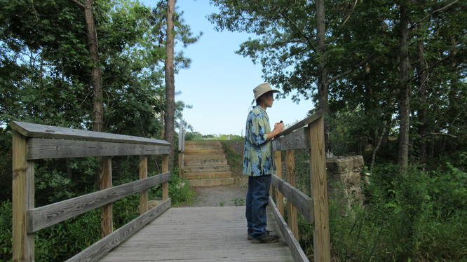 Sturdy wooden bridge over marsh area