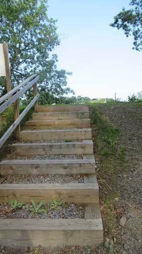 Sturdy wooden staircase to trail