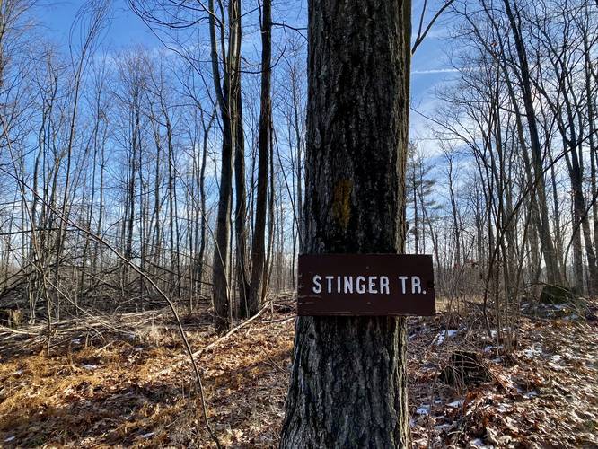 Stinger Trail sign