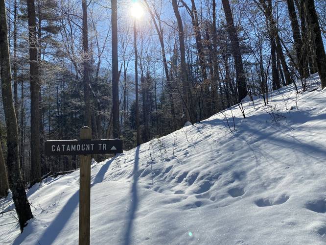 Catamount Trail junction with the Stone Cutter Trail / Tiadaghton Trail