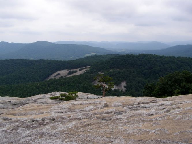 Picture 15 of Stone Mountain and Wolf Rock Hike 072014