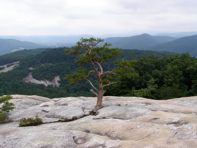 Picture 16 of Stone Mountain and Wolf Rock Hike 072014
