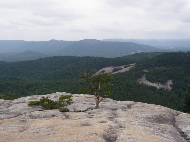 Picture 18 of Stone Mountain and Wolf Rock Hike 072014