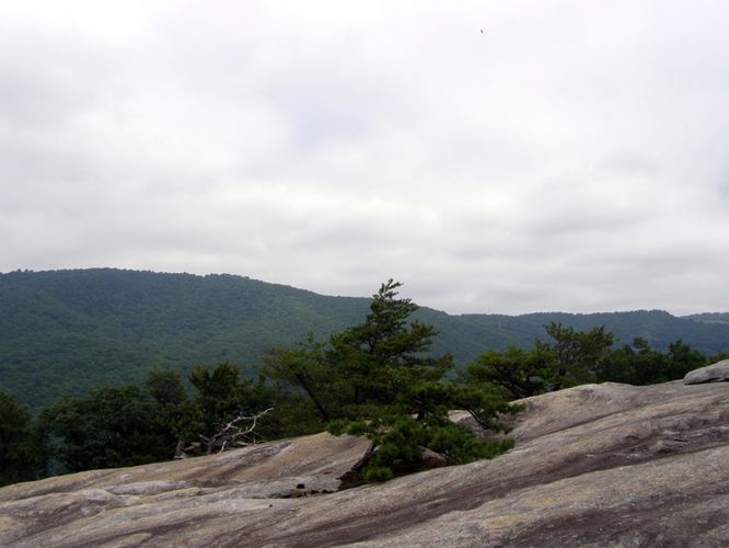 Picture 21 of Stone Mountain and Wolf Rock Hike 072014