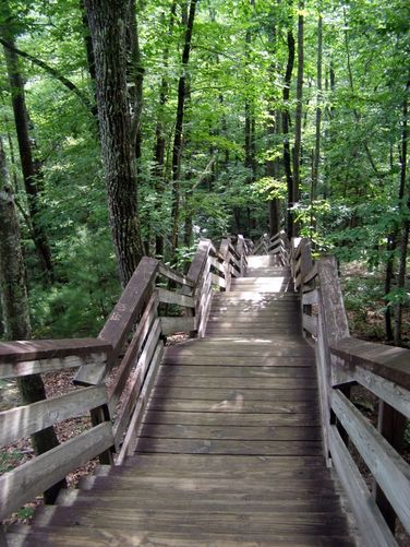 Picture 80 of Stone Mountain and Wolf Rock Hike 072014