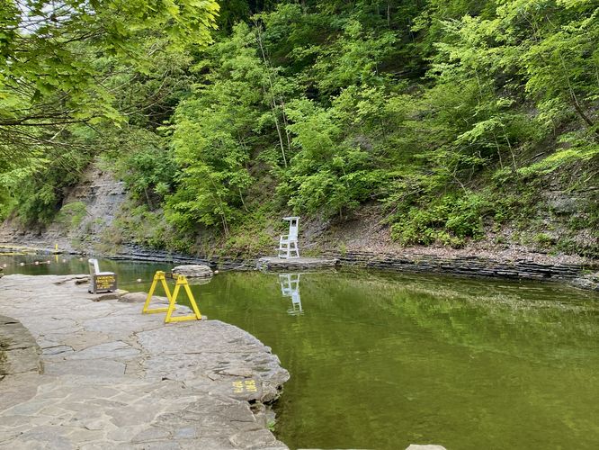 Stony Brook feeds the swimming area
