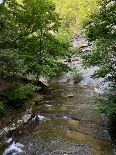 View of Stony Brook from the footbridge