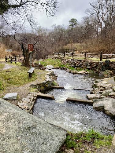 Herring Run site waterfalls