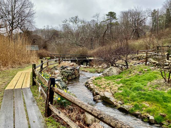 Stony Brook