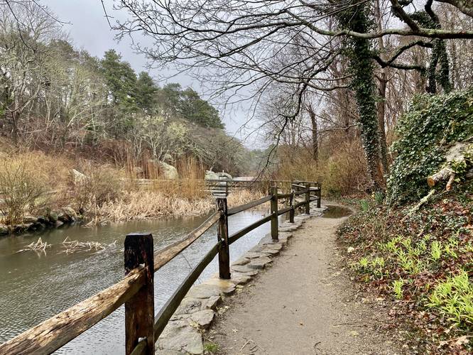 Trail leads to Lower Mill Pond with a view