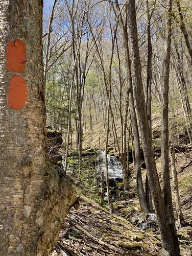 Mid State Trail blazes with Champagne Falls in background