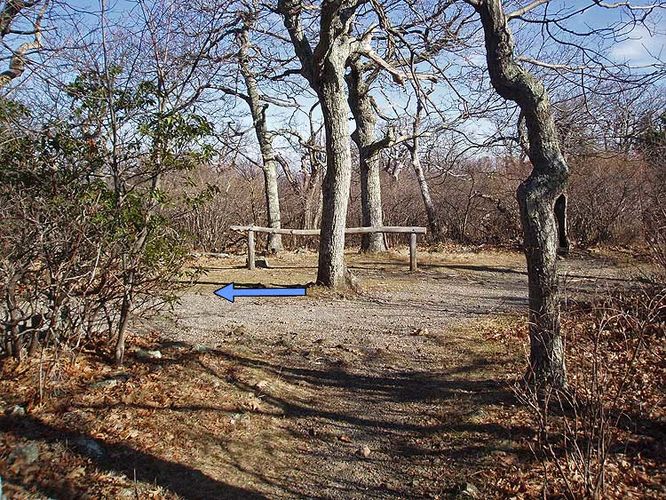 Picture 7 of Stony Man Mountain Hike 120206