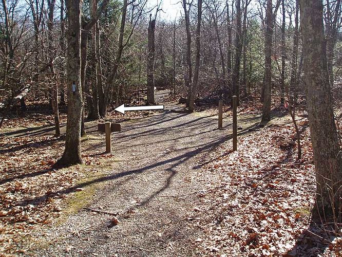 Picture 12 of Stony Man Mountain Hike 120206