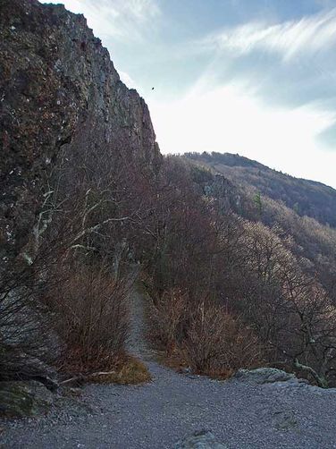 Picture 18 of Stony Man Mountain Hike 120206