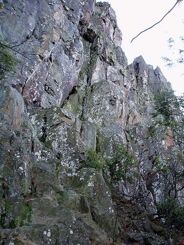 Picture 19 of Stony Man Mountain Hike 120206