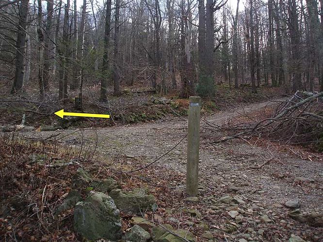 Picture 21 of Stony Man Mountain Hike 120206