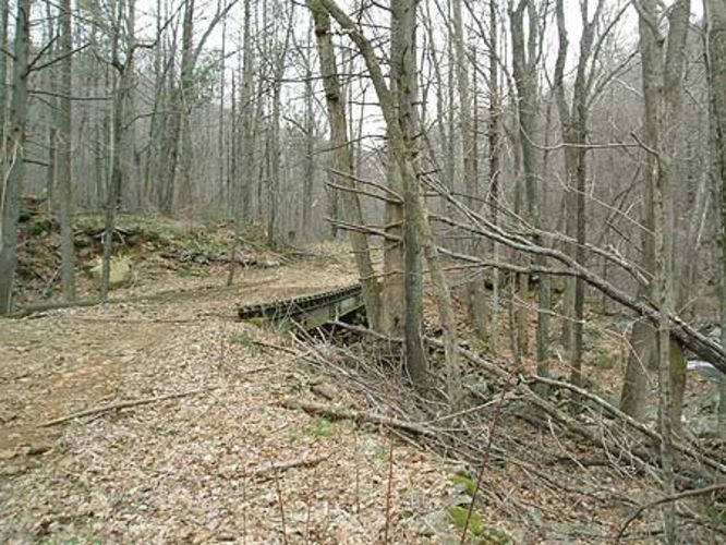 Picture 6 of Stony Mountain Hike 021806