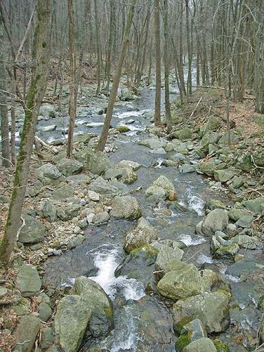 Picture 7 of Stony Mountain Hike 021806