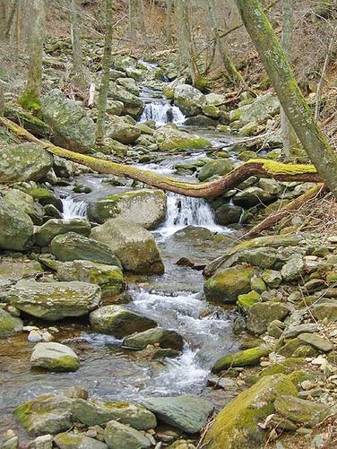 Picture 8 of Stony Mountain Hike 021806