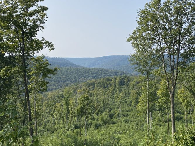 Picture 4 of Stony Peak Aug 15 2024