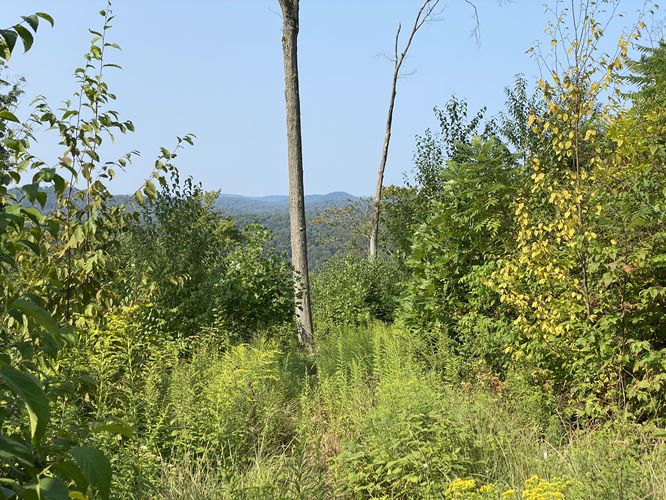 Picture 6 of Stony Peak Aug 15 2024