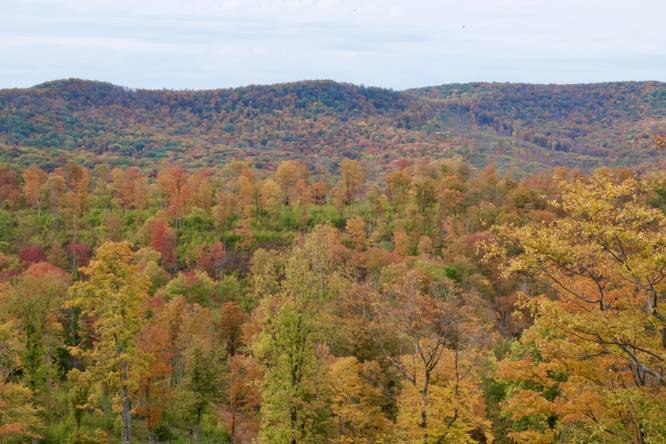 Foliage of Potter County's mountains from the summit of Stony Peak