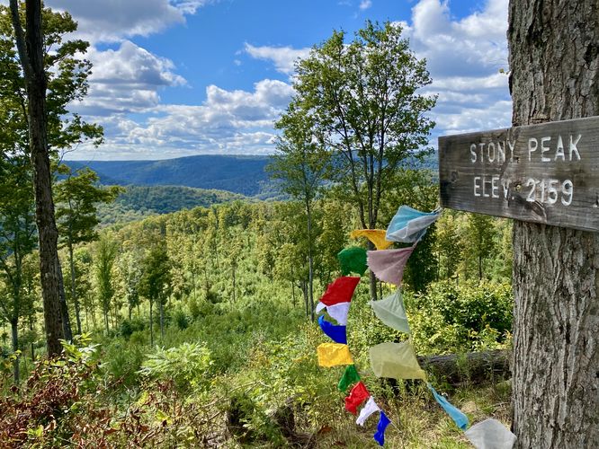 Default image for Stony Peak & Twin Top Peak, a 6.2-mile trail in Abbott, PA (US)