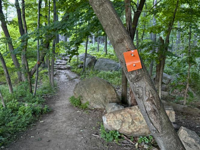 Picture 4 of Storm King Mountain Hike