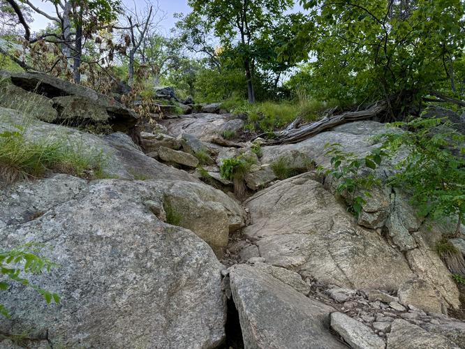 Picture 6 of Storm King Mountain Hike