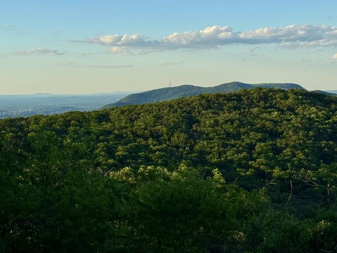 View / Overlook / Vista
