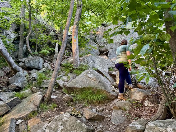 Picture 51 of Storm King Mountain Hike